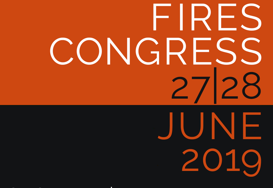 14. Virtual Fires Congress
